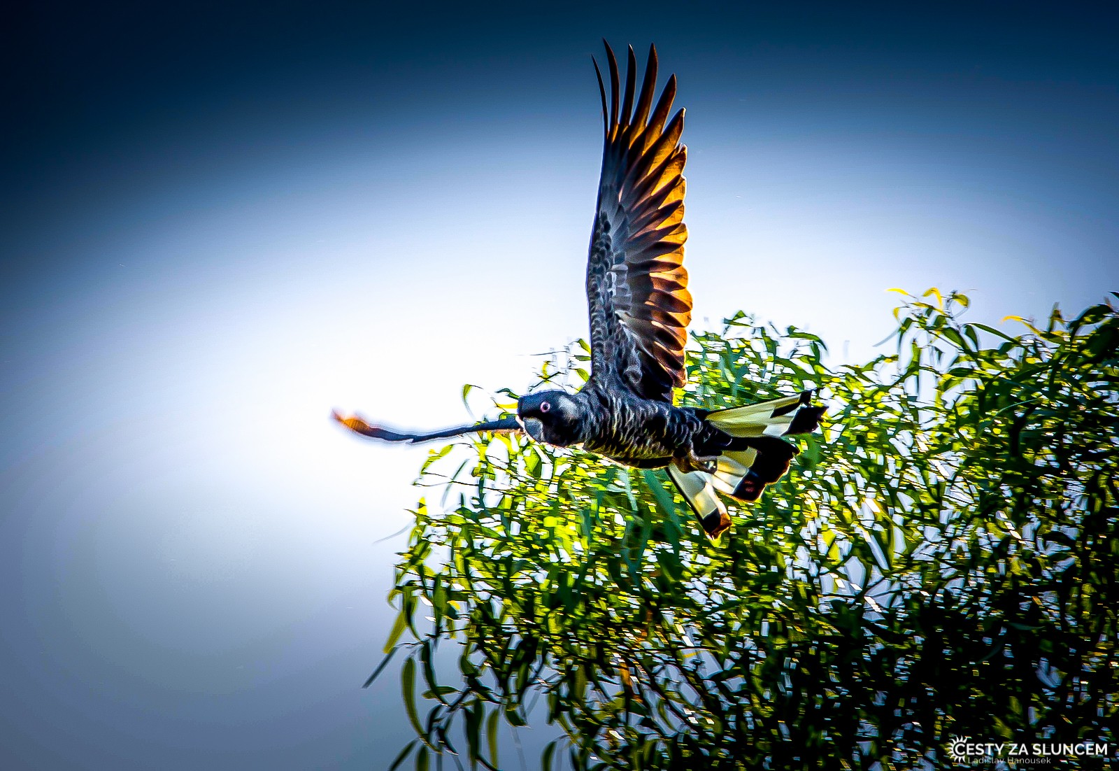Toolonga Nature Reserve - Ladislav Hanousek, Západní Austrálie