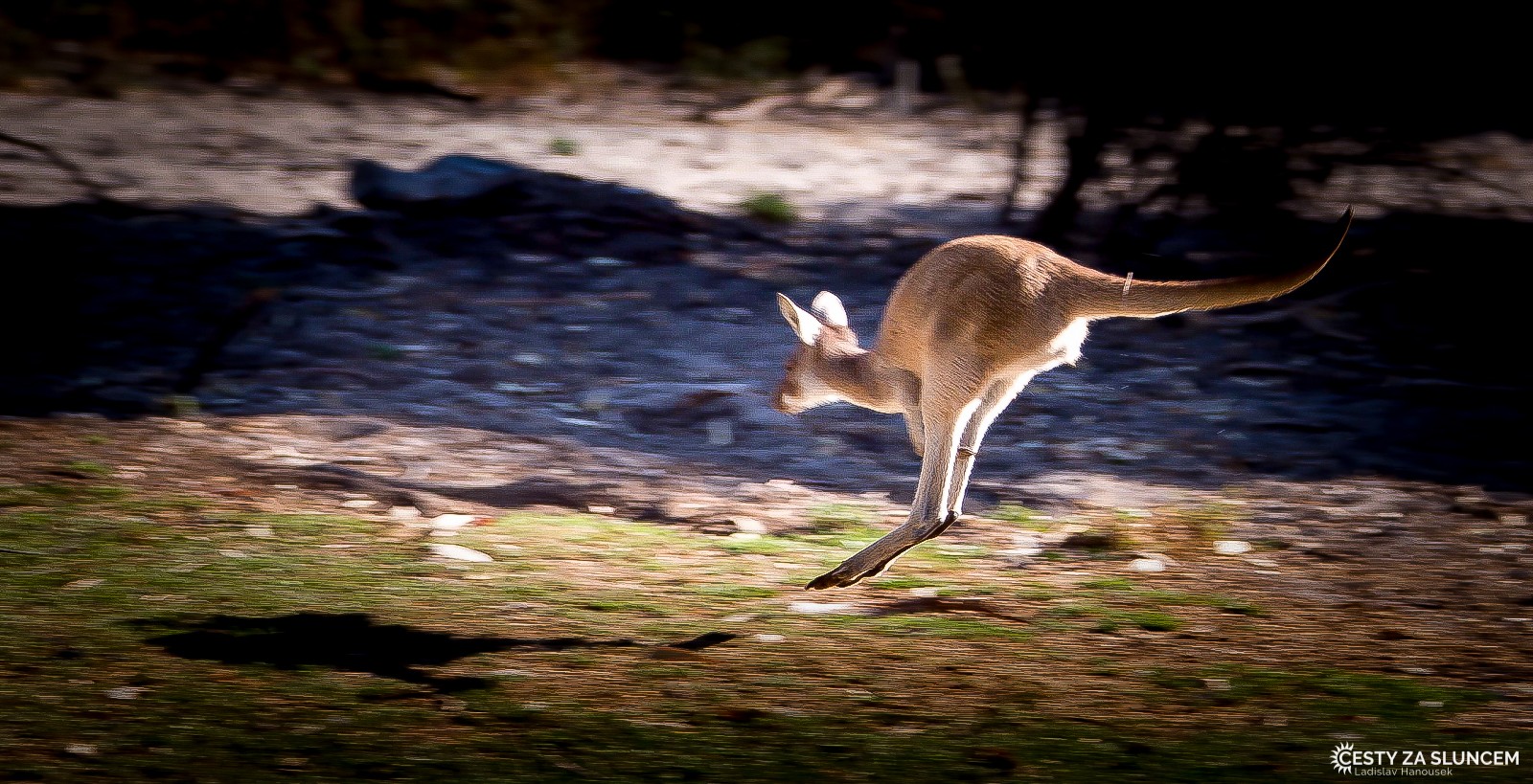 Yanchep National Park - Ladislav Hanousek, Západní Austrálie
