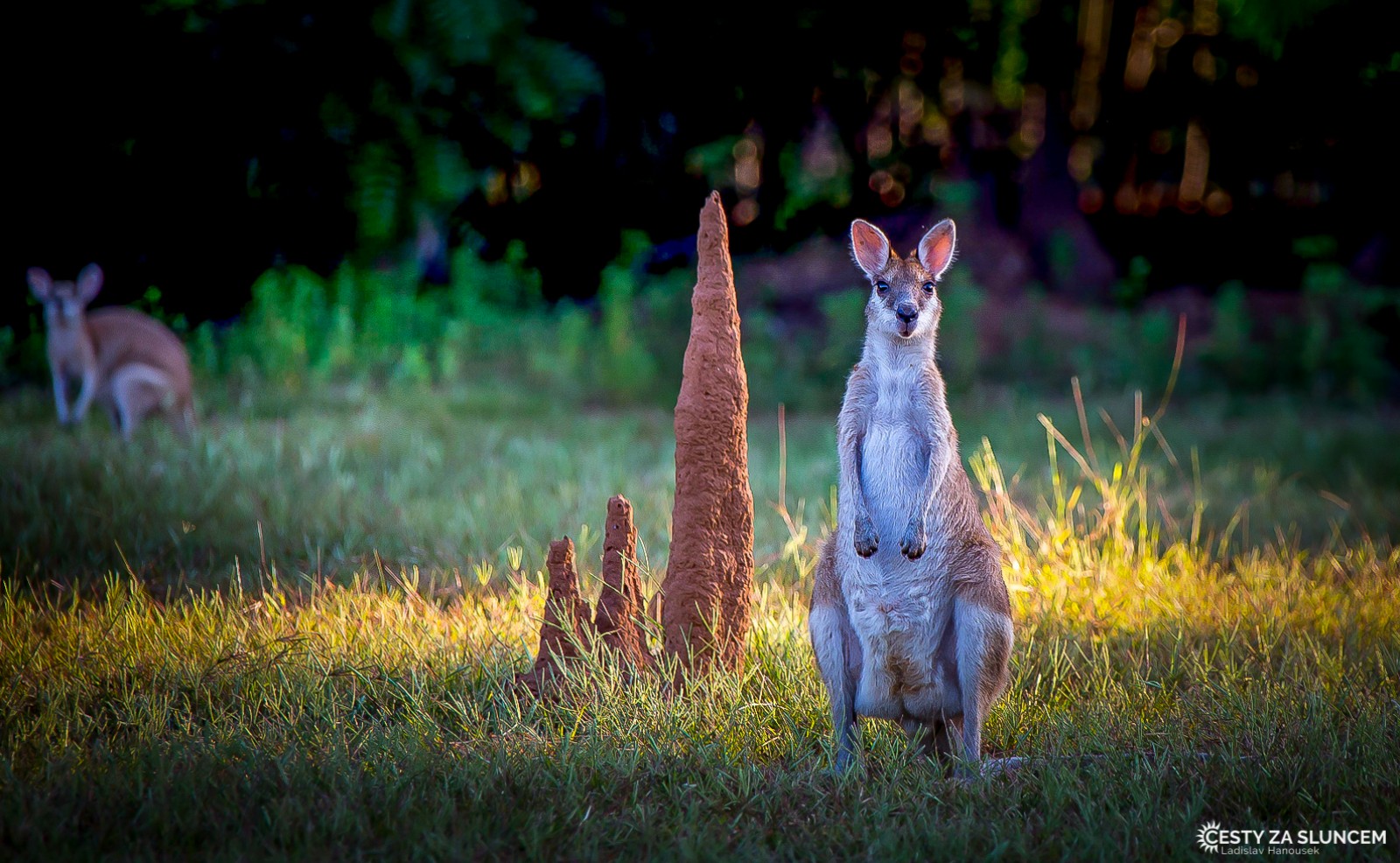 Národní park Nitmiluk - Ladislav Hanousek, Střední Austrálie
