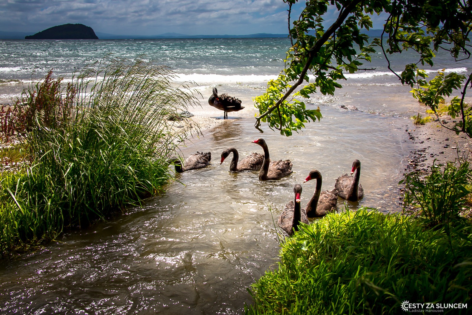 Lake Taupo, jezero jižně od národního parku Orakei Korako Geothermal Park - Ladislav Hanousek, Nový Zéland - Severní ostrov