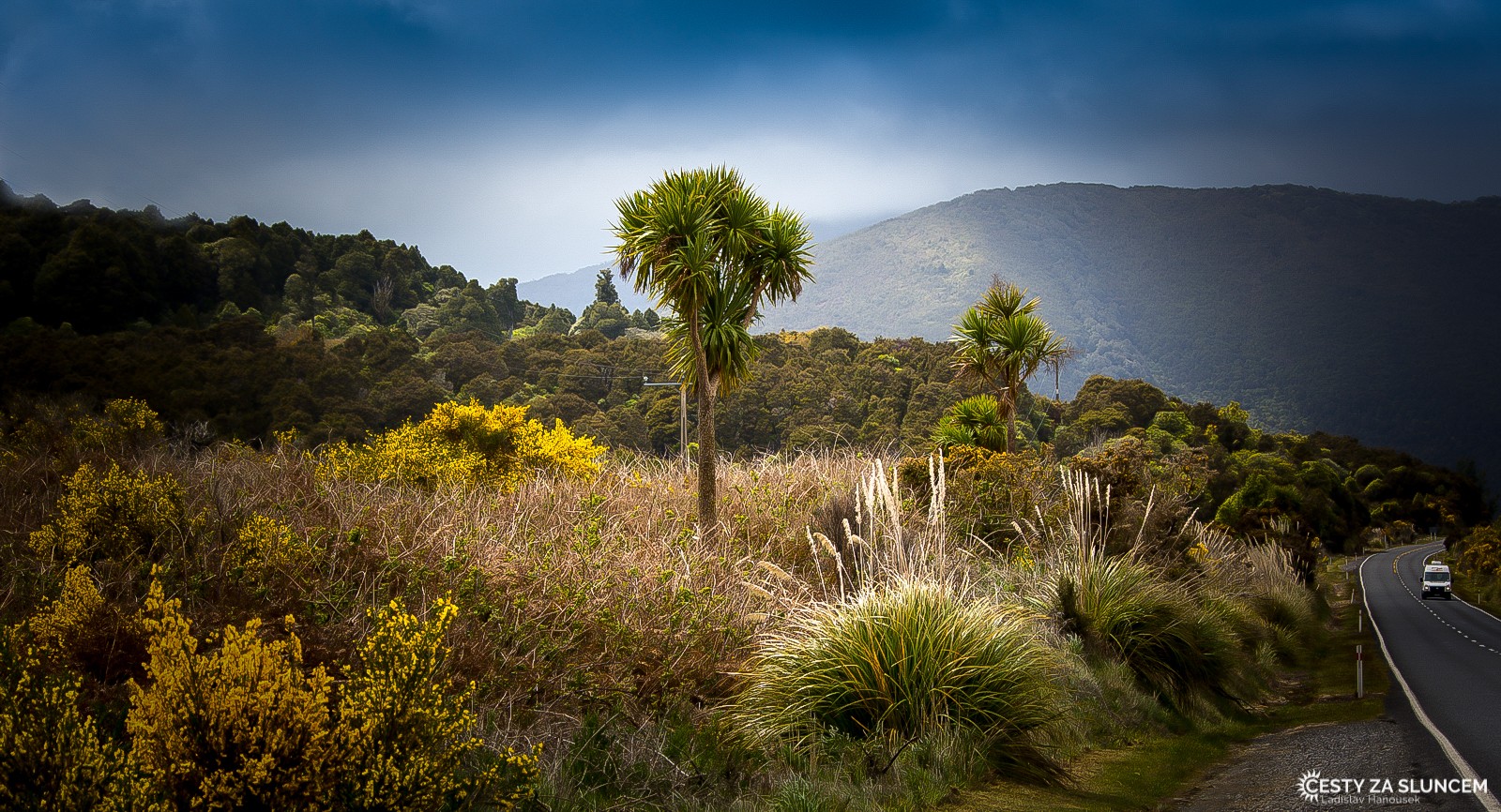 Tararua Forest Park - Ladislav Hanousek, Nový Zéland - Severní ostrov