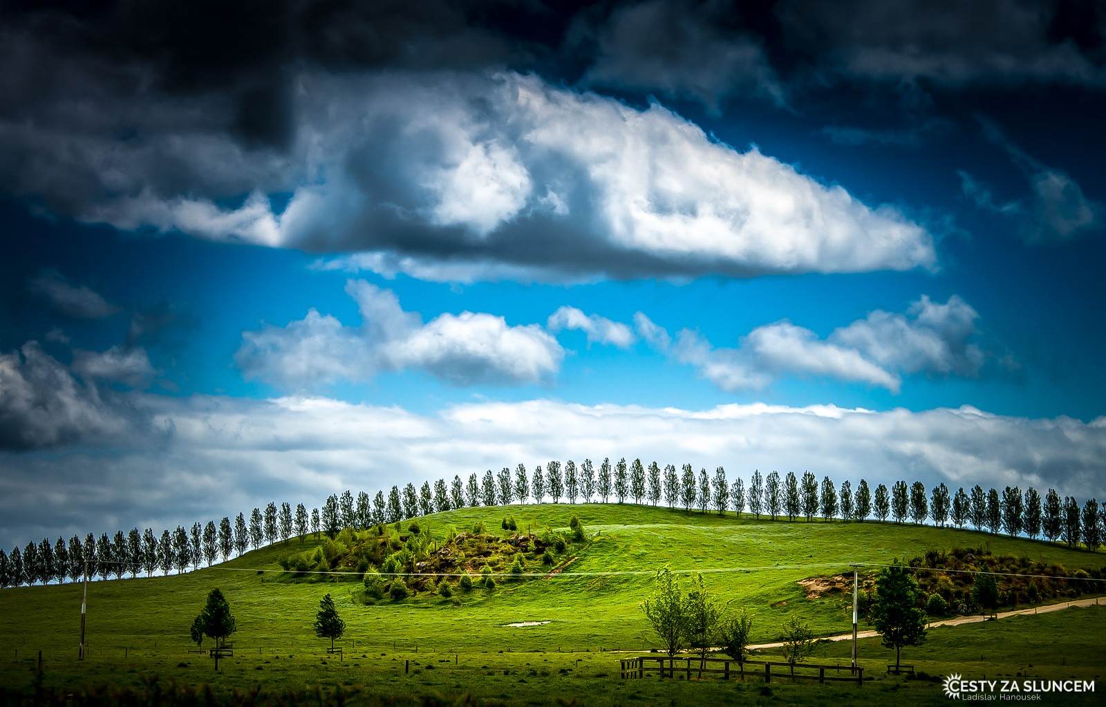 Pirongia Forest Park - Ladislav Hanousek, Nový Zéland - Severní ostrov