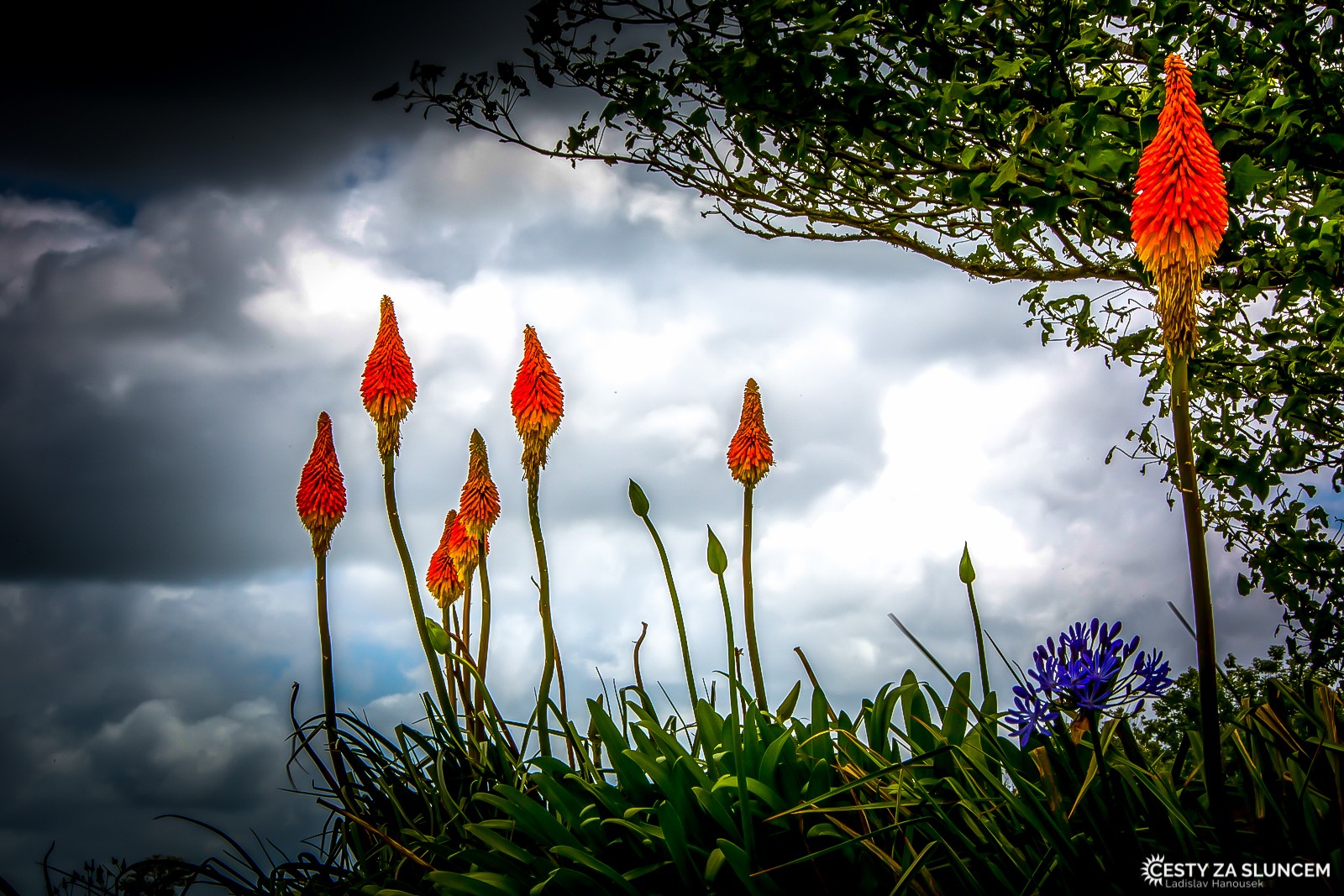 Tararua Forest Park - Ladislav Hanousek, Nový Zéland - Severní ostrov