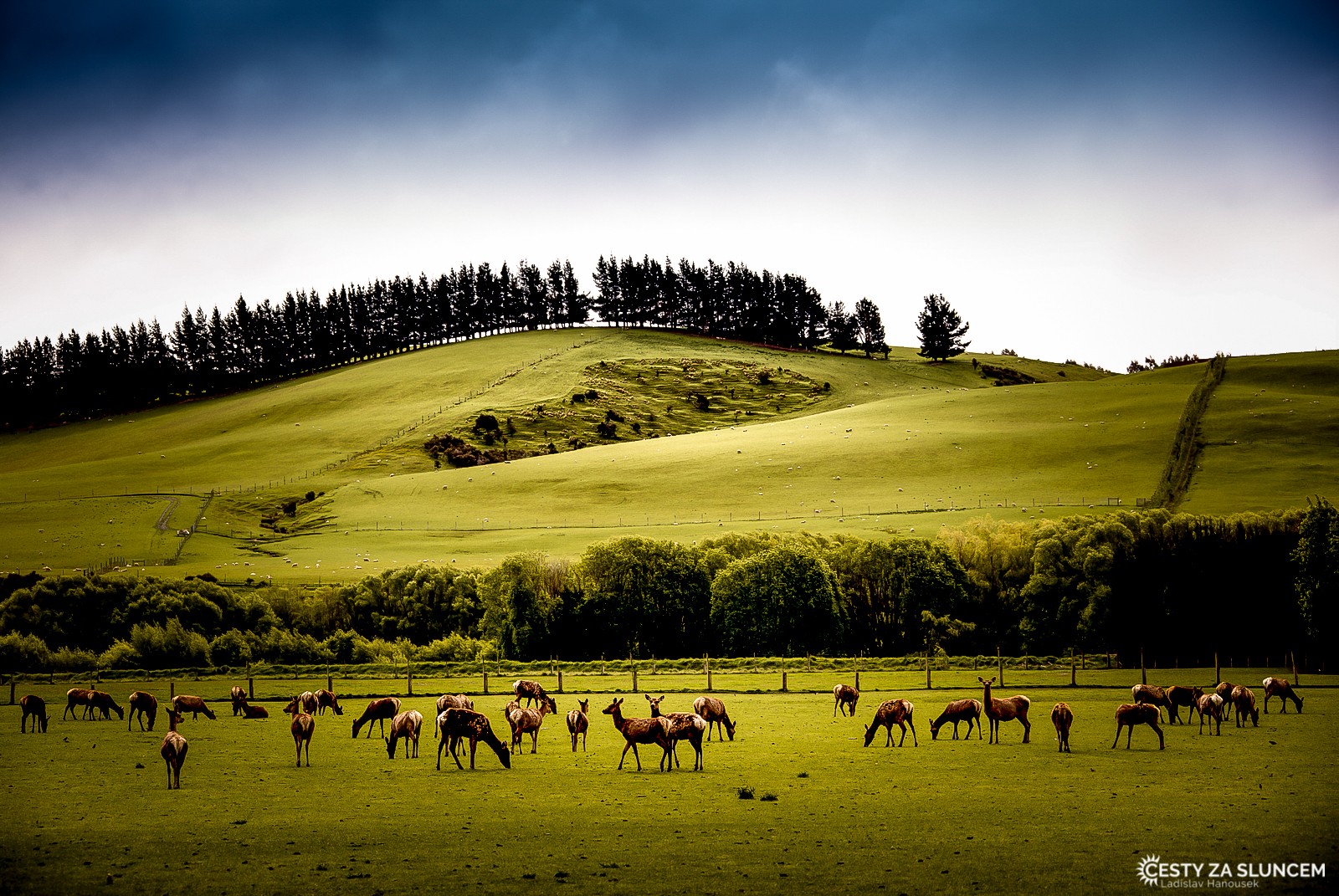 Národní park Mount Aspiring - Ladislav Hanousek, Nový Zéland - Jižní ostrov