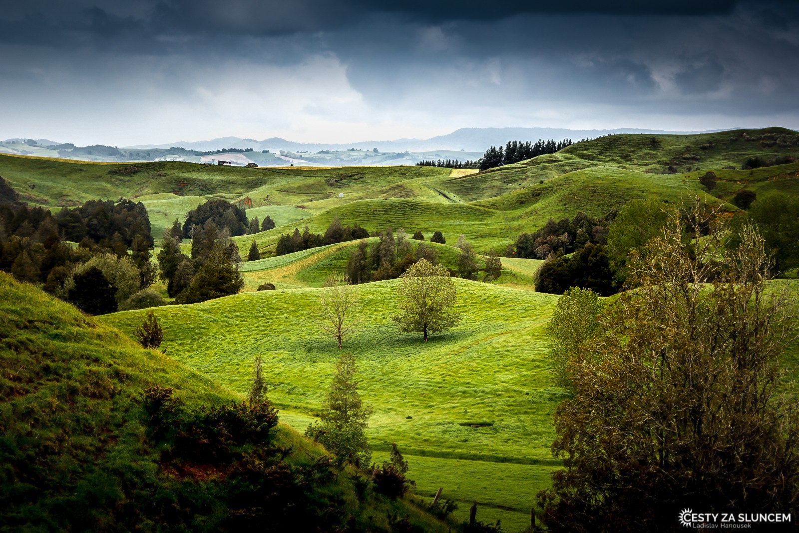 Krásné, oblé kopce severního ostrova: Po tisících ovcí zůstává jen hebká tráva sametového vzhledu. - Ladislav Hanousek, Nový Zéland - Severní ostrov