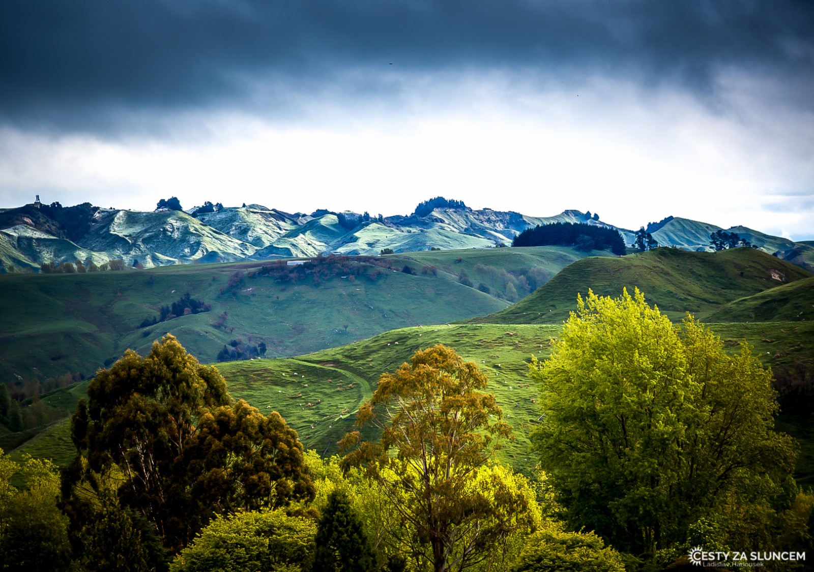 Pirongia Forest Park - západ severního ostrova, jižně od města Hamilton - Ladislav Hanousek, Nový Zéland - Severní ostrov
