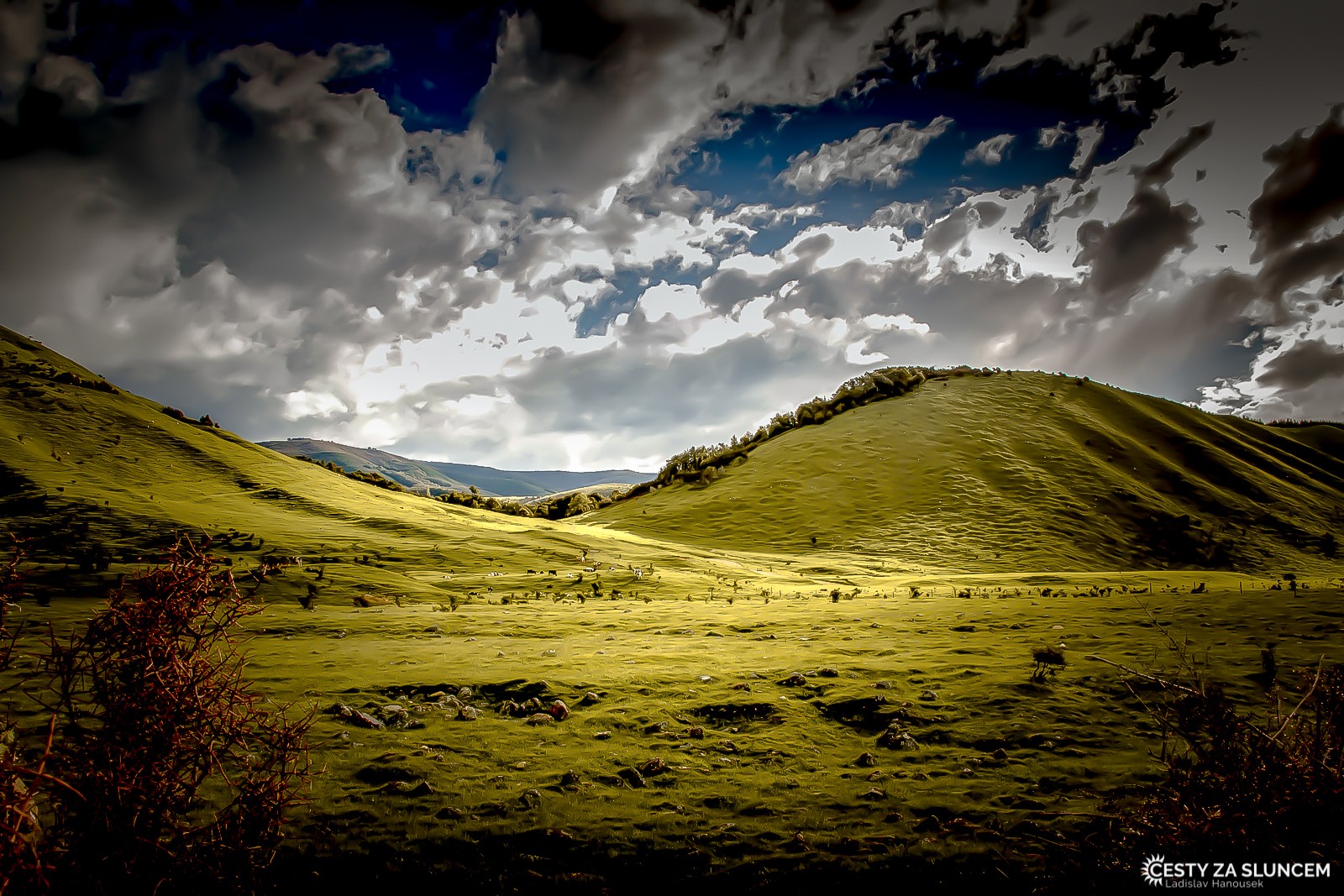 Tararua Forest Park - Ladislav Hanousek, Nový Zéland - Severní ostrov