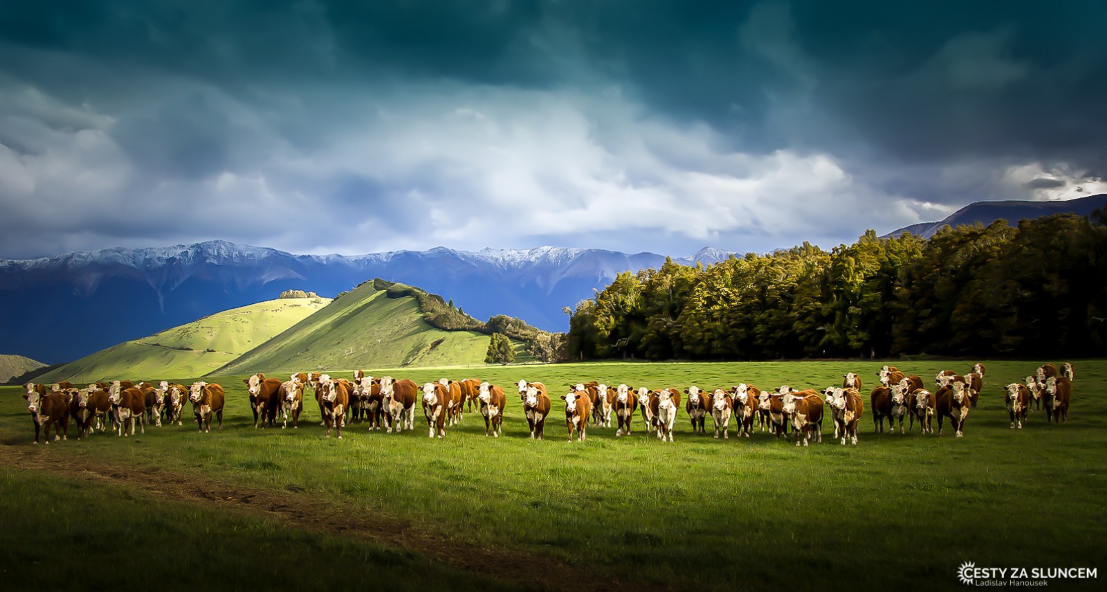 Cesta severním ostrovem k jihu - krajina u města Marokopa - Ladislav Hanousek, Nový Zéland - Severní ostrov