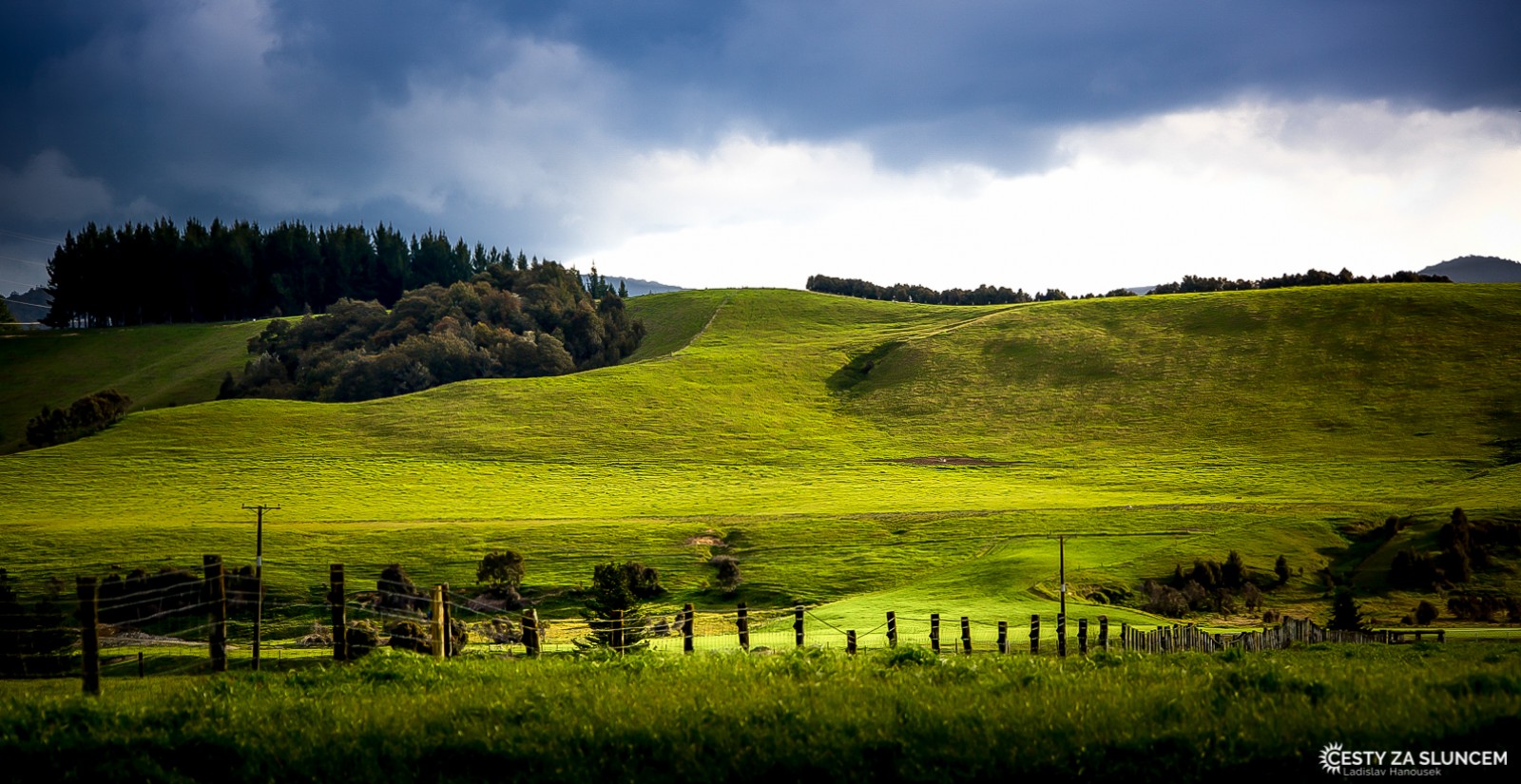 Pirongia Forest Park - Ladislav Hanousek, Nový Zéland - Severní ostrov