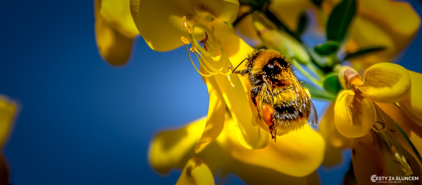 Tararua Forest Park - Ladislav Hanousek, Nový Zéland - Severní ostrov