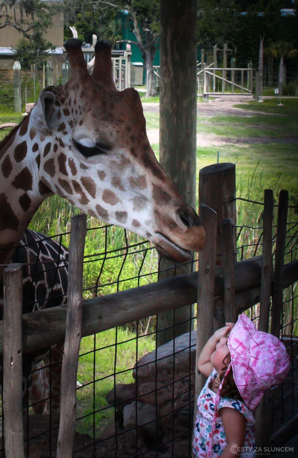  - Ladislav Hanousek, Florida