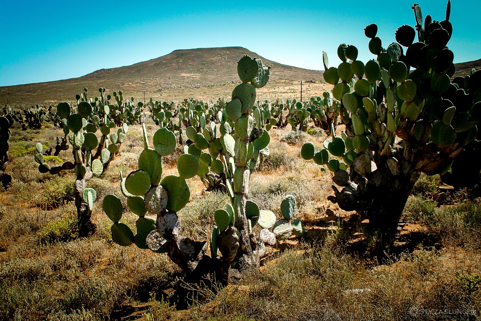 Cesta z Krugerova NP do Johannesburgu - Ladislav Hanousek, Jihoafrická republika