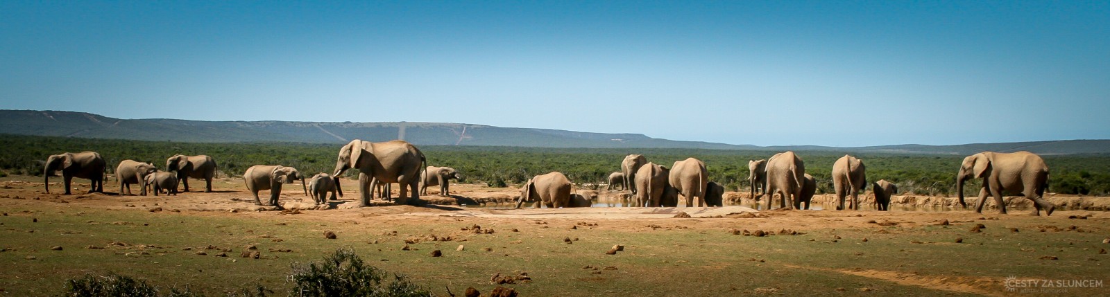 Addo Elephant National Park - Ladislav Hanousek, Jihoafrická republika