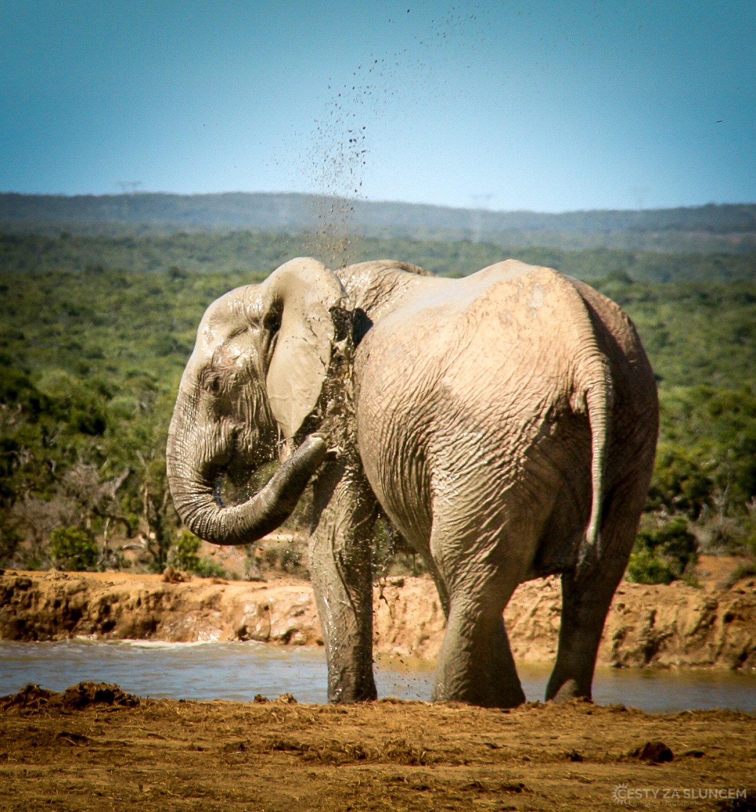 Addo Elephant National Park - Ladislav Hanousek, Jihoafrická republika
