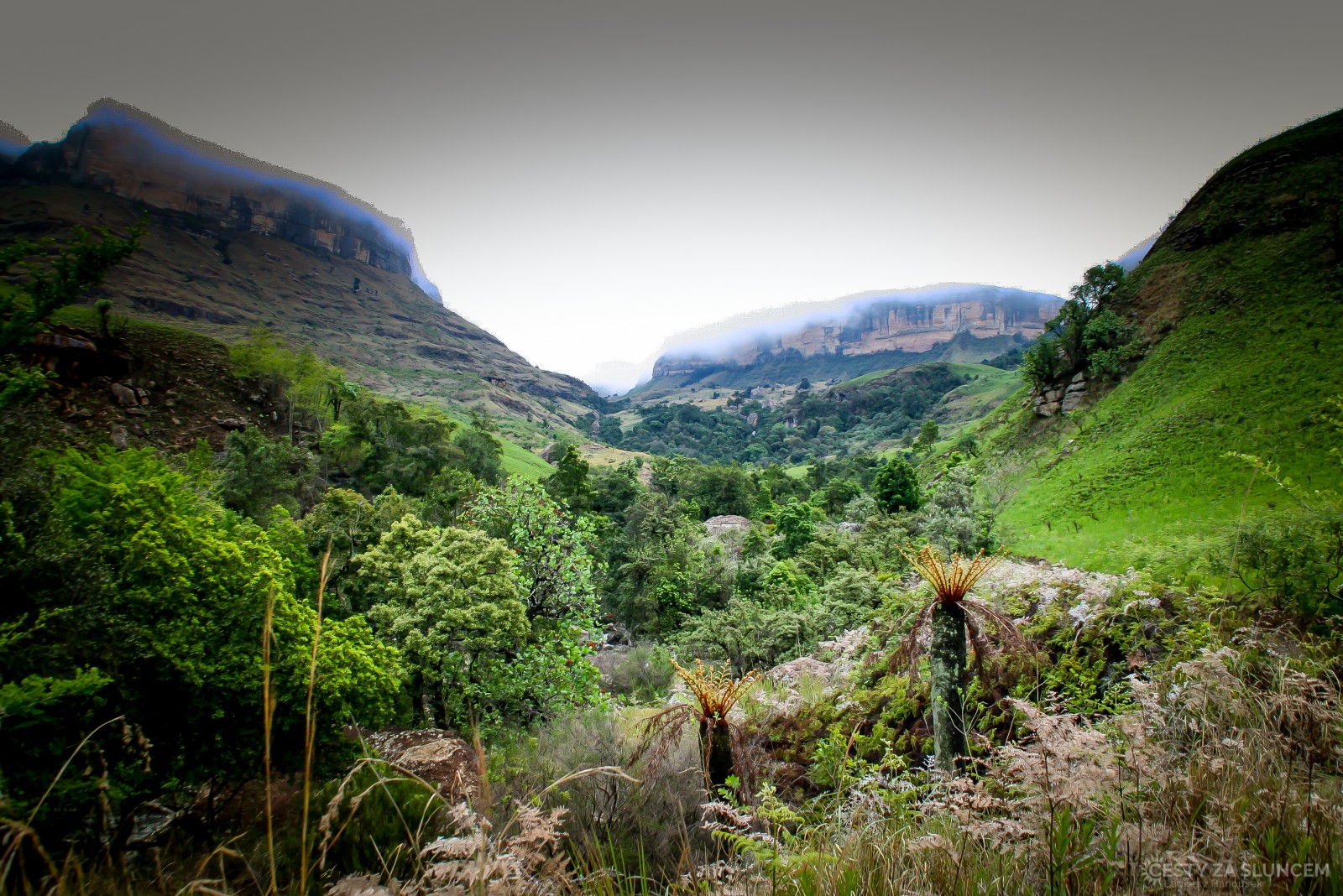Dračí hory - Drakensberg - Ladislav Hanousek, Jihoafrická republika