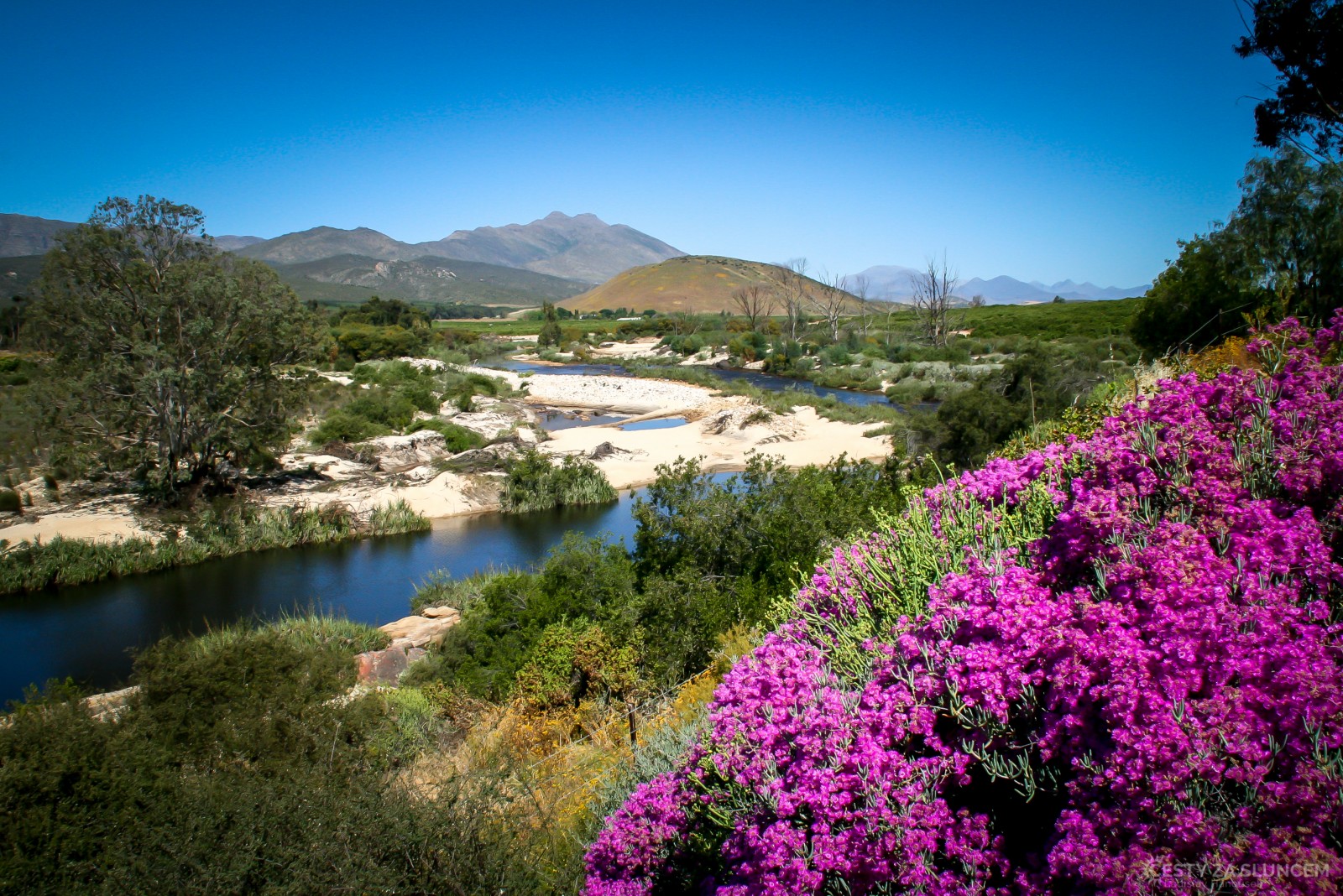 Kvetoucí poušť  - cesta od Fish River Canyon do Kapského Města. - Ladislav Hanousek, Jihoafrická republika