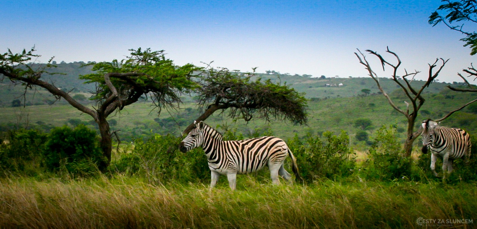 Krugerův národní park - Ladislav Hanousek, Jihoafrická republika