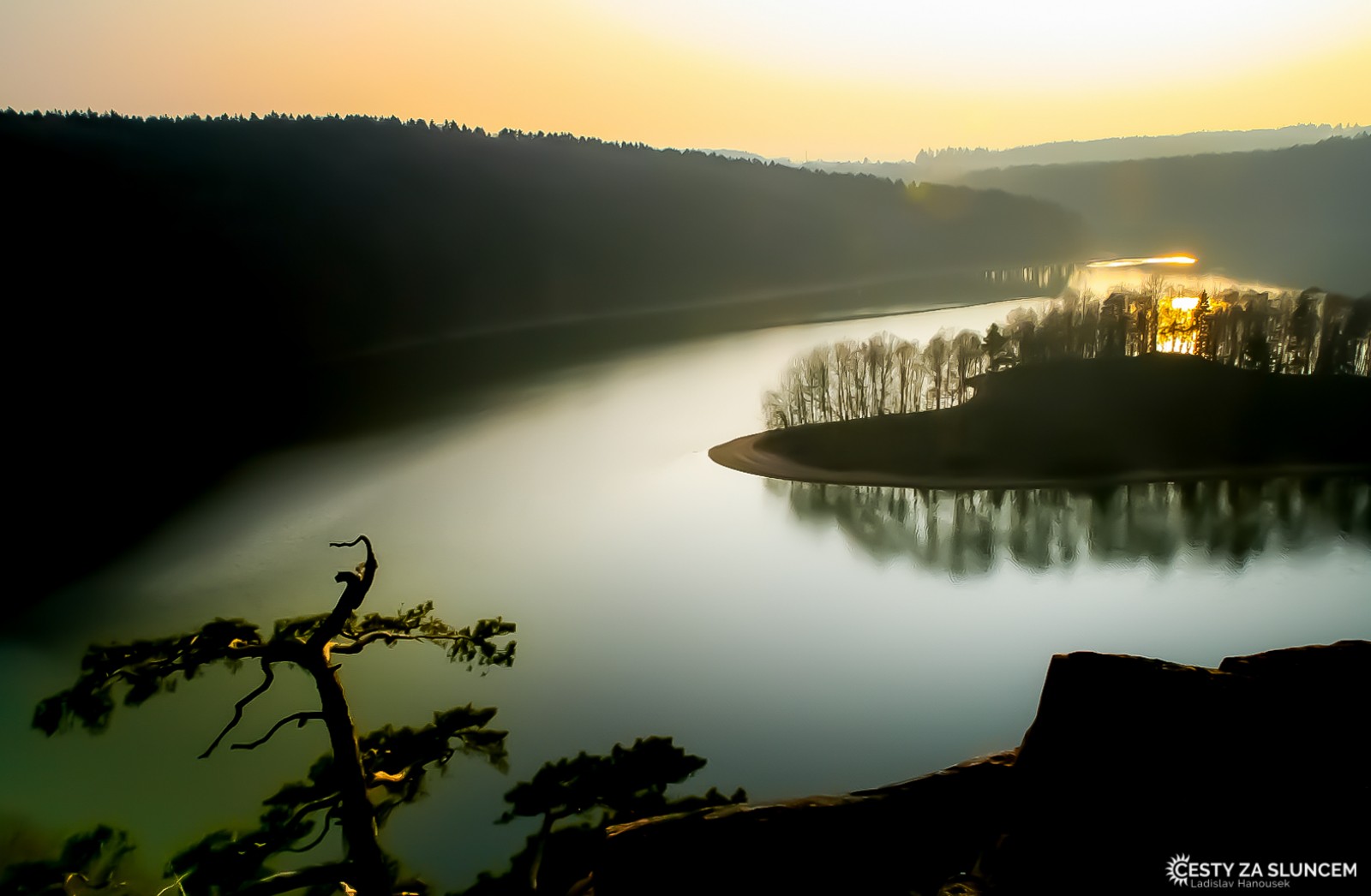 Seč u Chrudimi - Ladislav Hanousek, Květiny a stromy