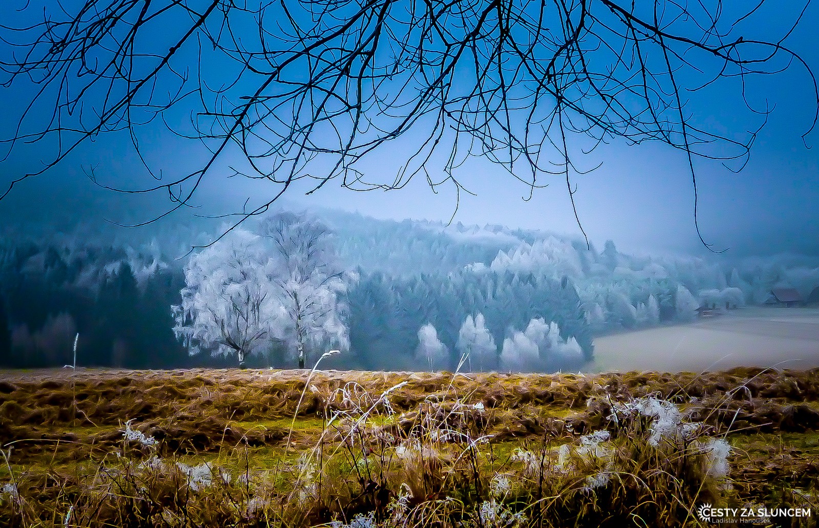 Broumovsko - Ladislav Hanousek, Květiny a stromy