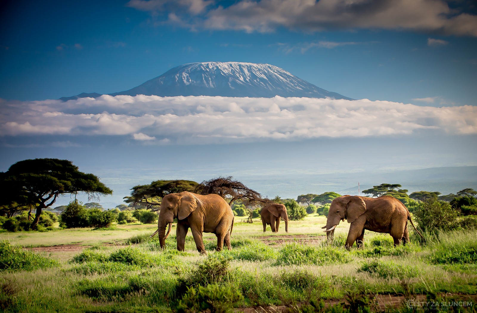 Kilimanjaro leží mezi keňským národním parkem Amboseli a NP Kilmanjaro NP v Tanzánii. - Ladislav Hanousek, Keňa