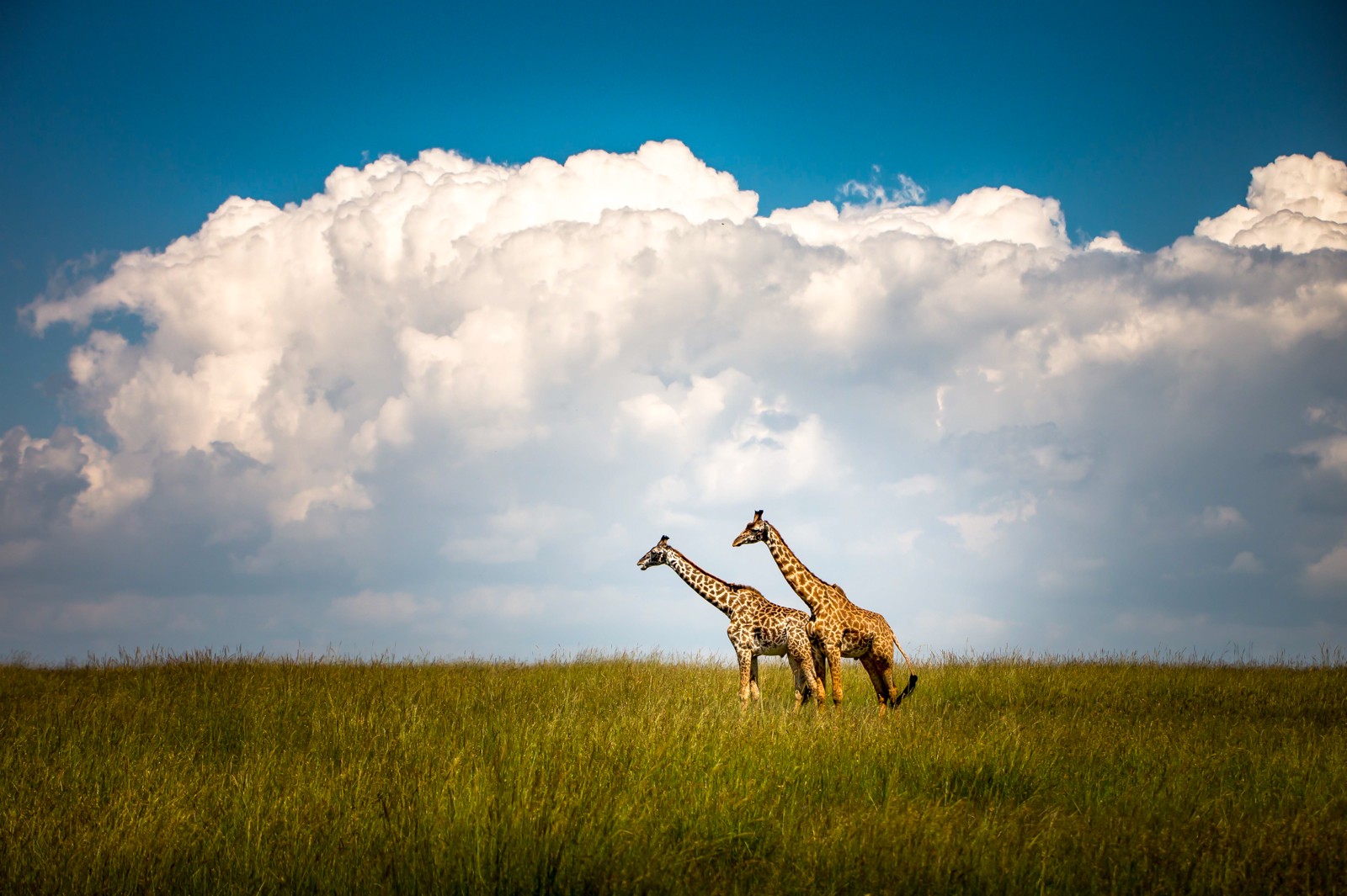 Národní park Nakuru - Ladislav Hanousek, Keňa
