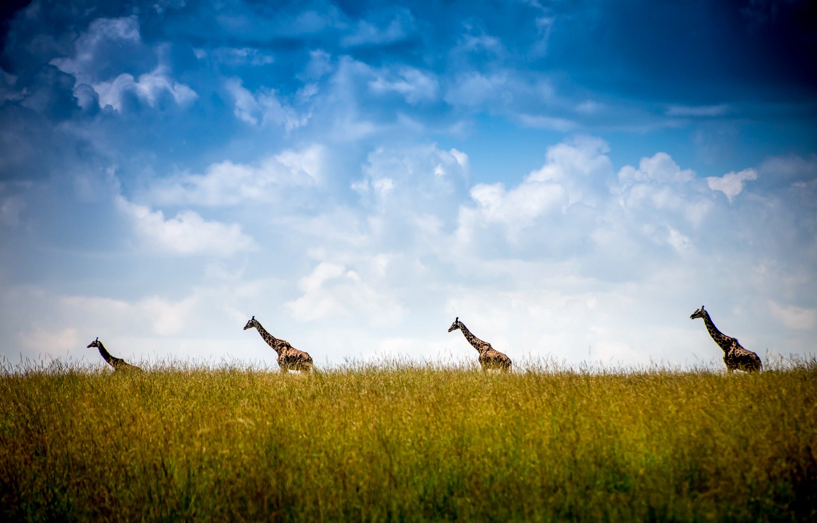 Národní park Nakuru - Ladislav Hanousek, Keňa
