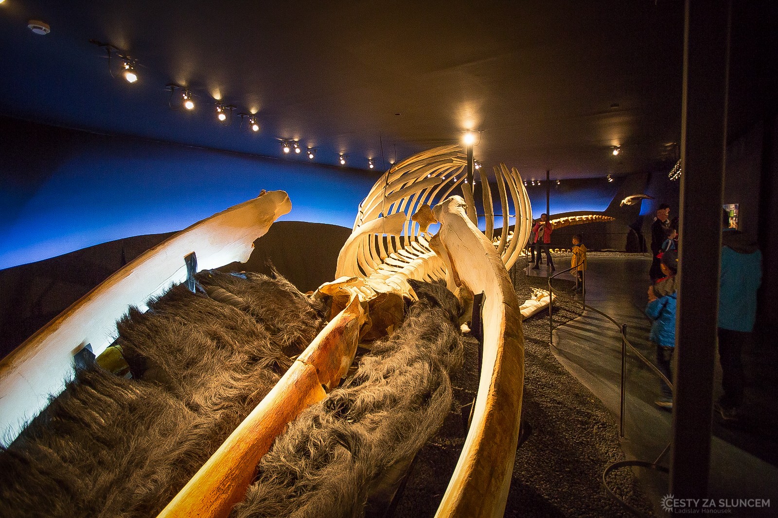 Húsavik - Velrybářské muzeum - Ladislav Hanousek, Island