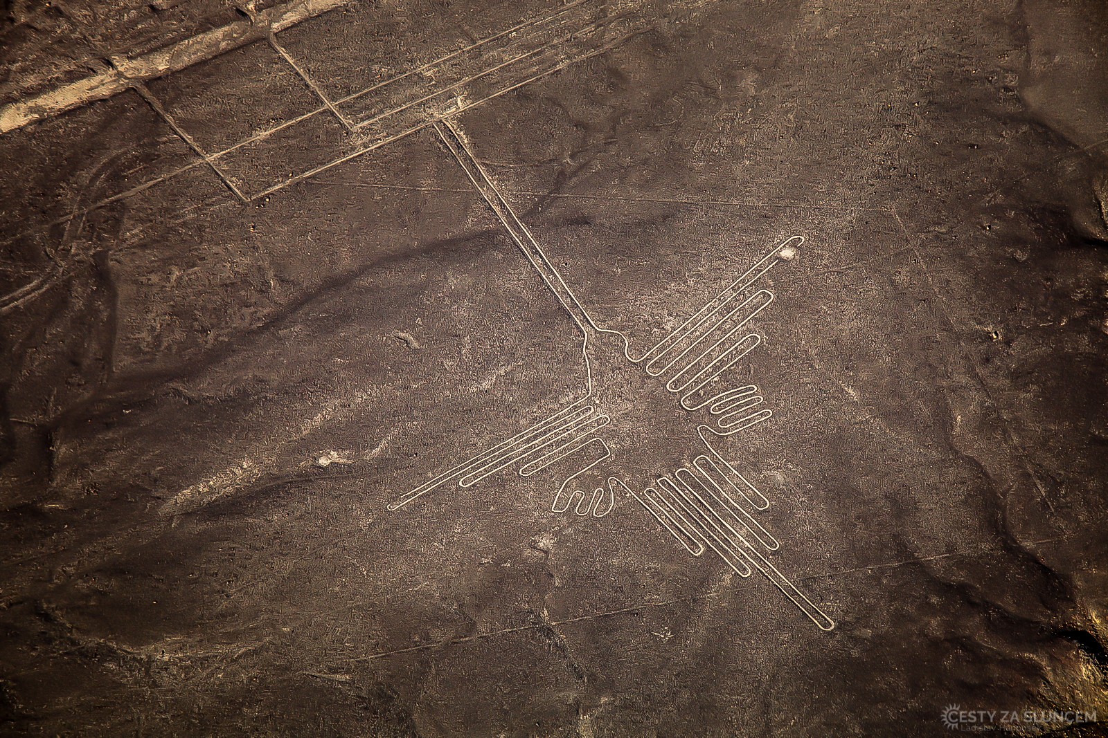 Planina Nazca - kolibřík - Ladislav Hanousek, Peru