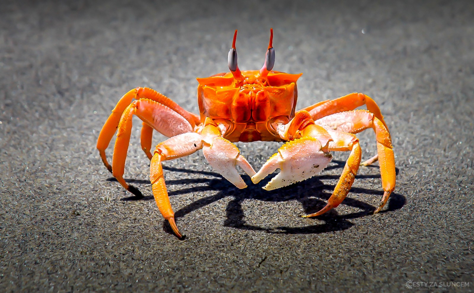 Pobřeží v oblasti Gran Tablazo de Ica - Ladislav Hanousek, Peru