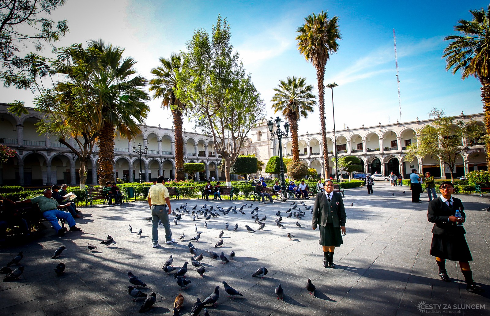 Snad stejně jako v Benátkách je holubů ve městě Arequipa. - Ladislav Hanousek, Peru