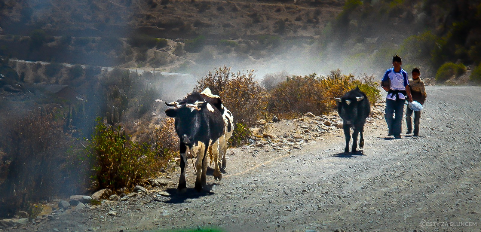 Na cestě za pastvou. - Ladislav Hanousek, Peru