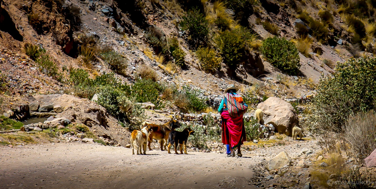 V horách Cordillera de Chilla. - Ladislav Hanousek, Peru