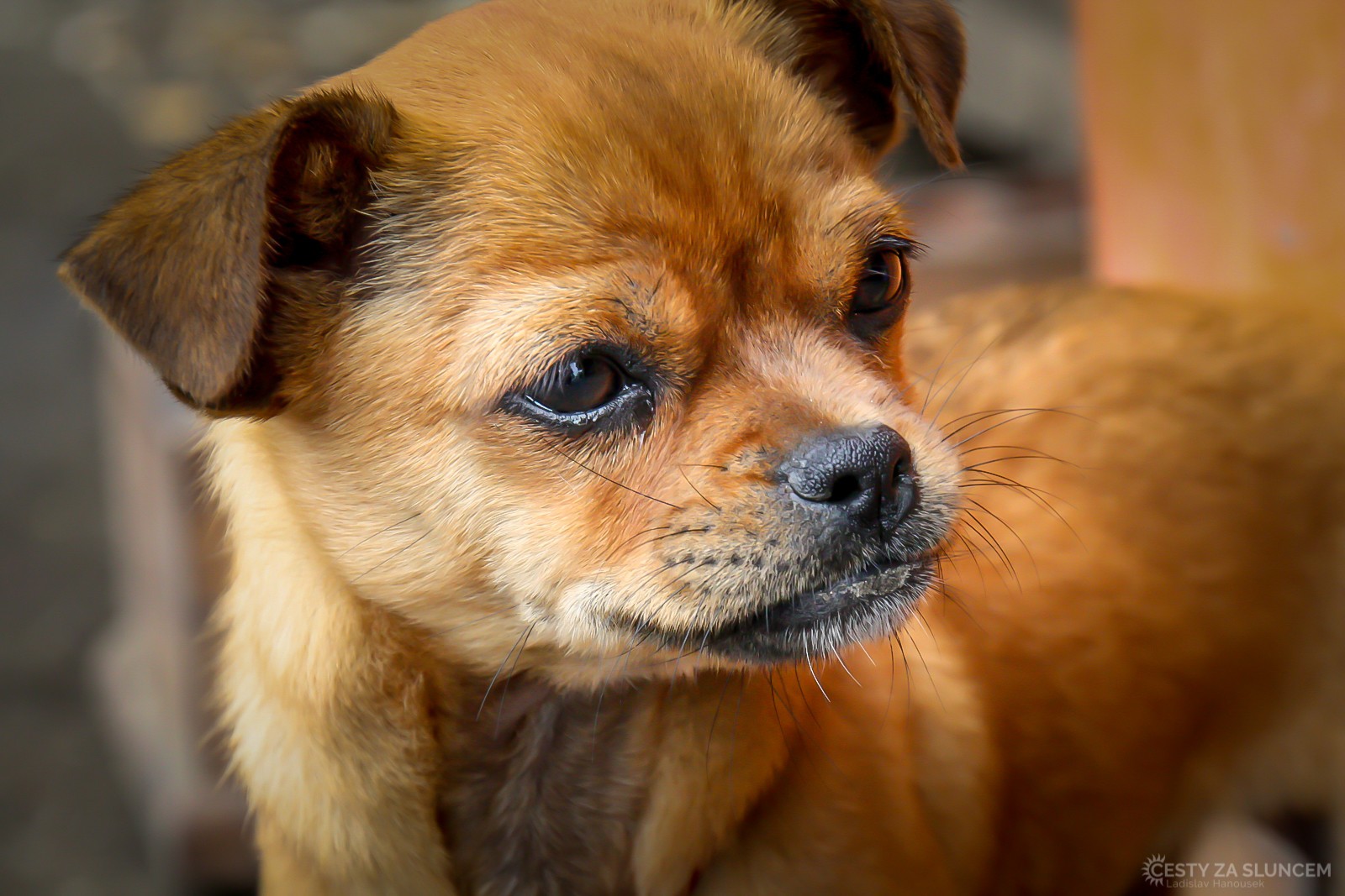 Lima - Ladislav Hanousek, Peru
