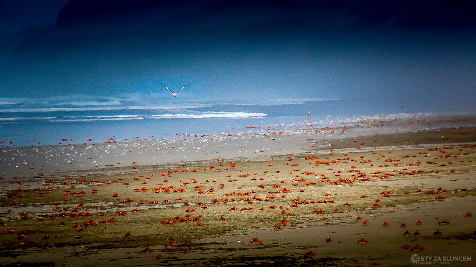 Pobřeží v oblasti Gran Tablazo de Ica. - Ladislav Hanousek, Peru