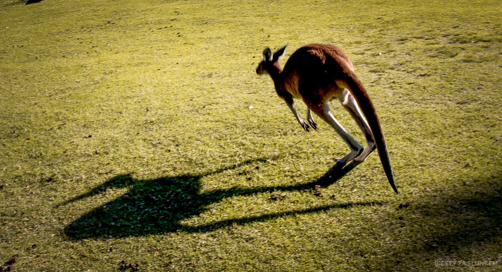 Yanchep National Park - Ladislav Hanousek, Západní Austrálie