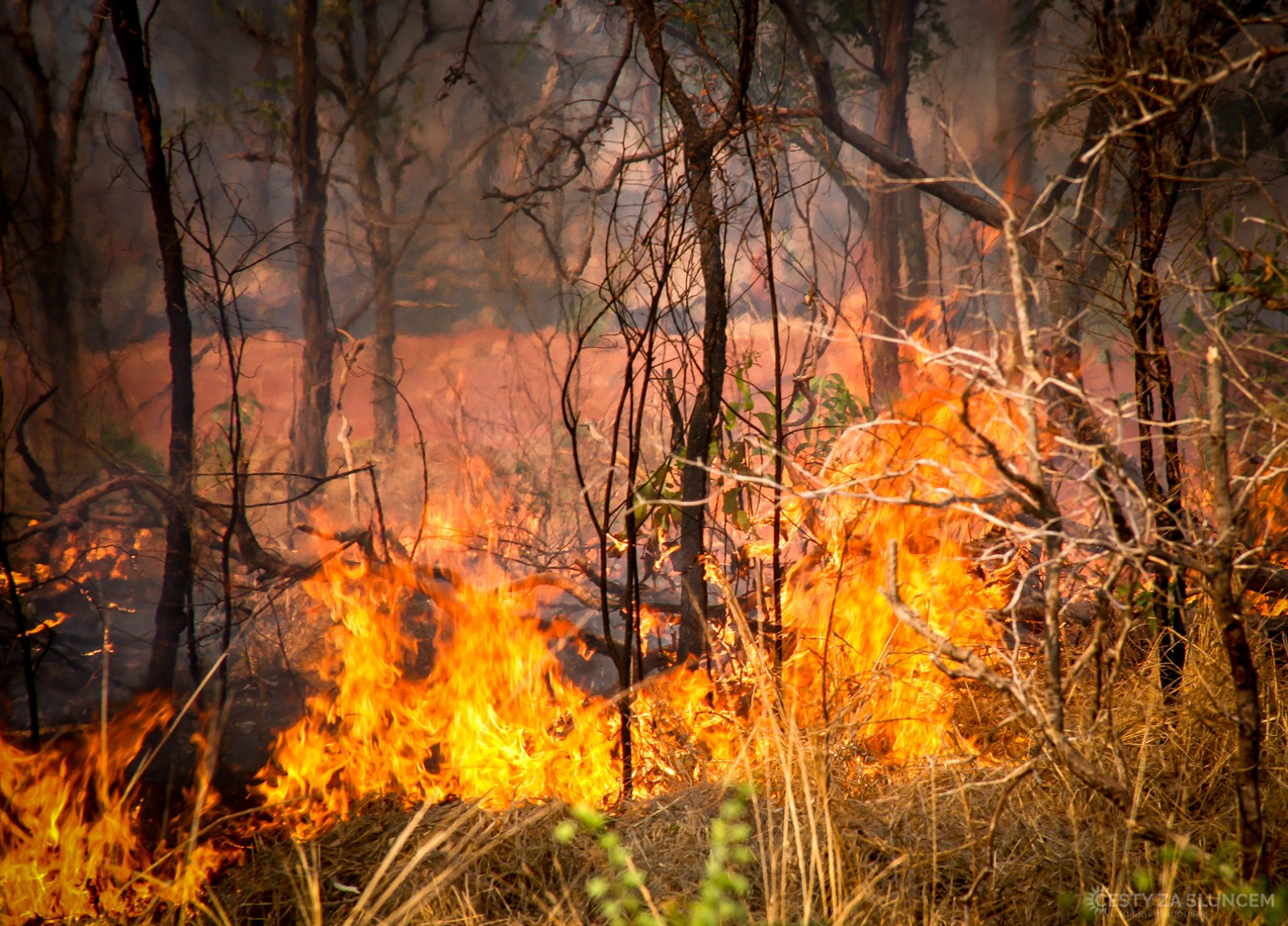 Stuart Highway - požáry v buši nikdo nehasí - Ladislav Hanousek, Střední Austrálie