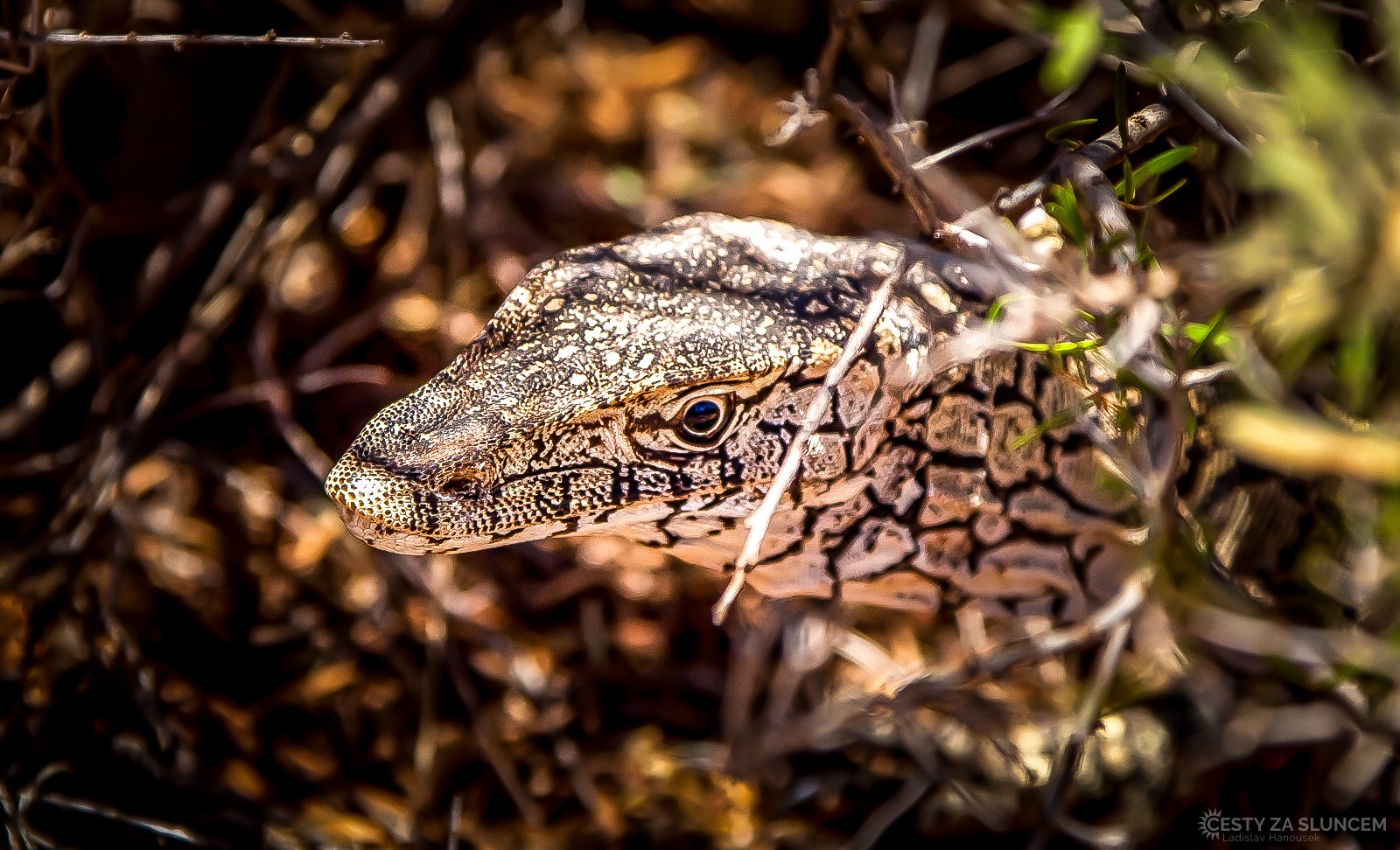 MacDonnell Ranges - Ladislav Hanousek, Střední Austrálie