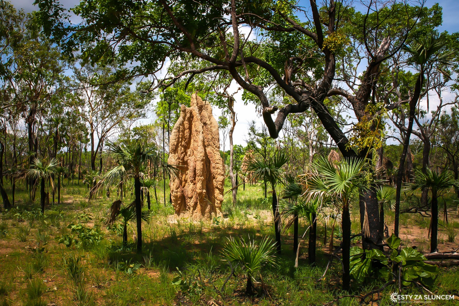 Národní park Litchfield - Ladislav Hanousek, Západní Austrálie