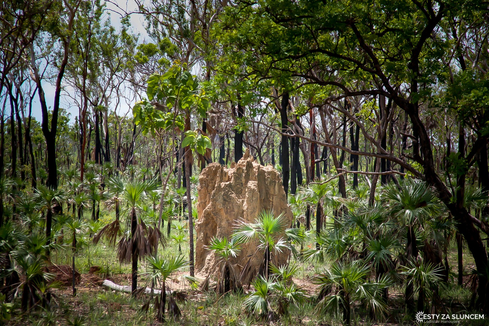Národní park Litchfield - Ladislav Hanousek, Západní Austrálie