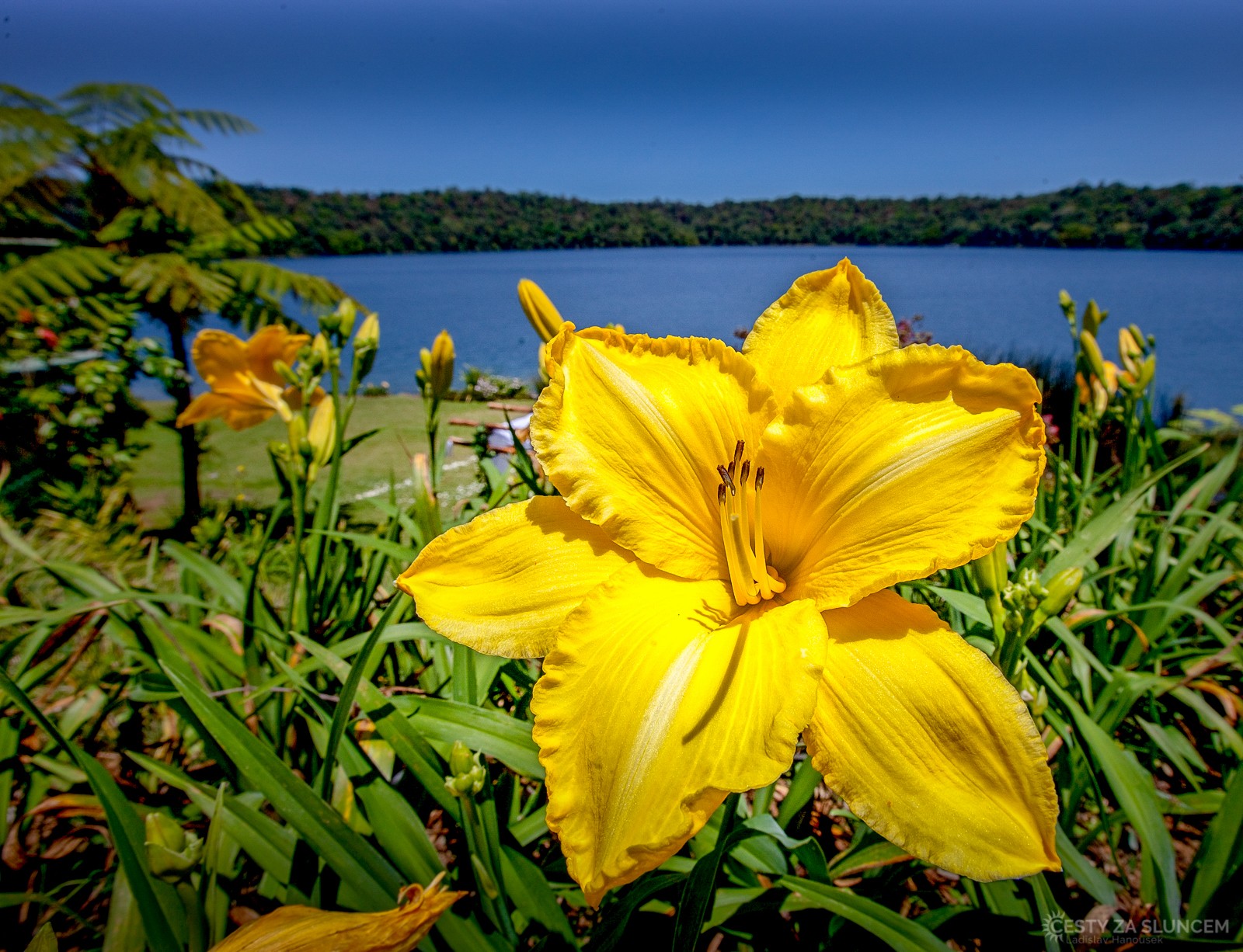 Příroda v okolí města Cairns - Ladislav Hanousek, Východní Austrálie