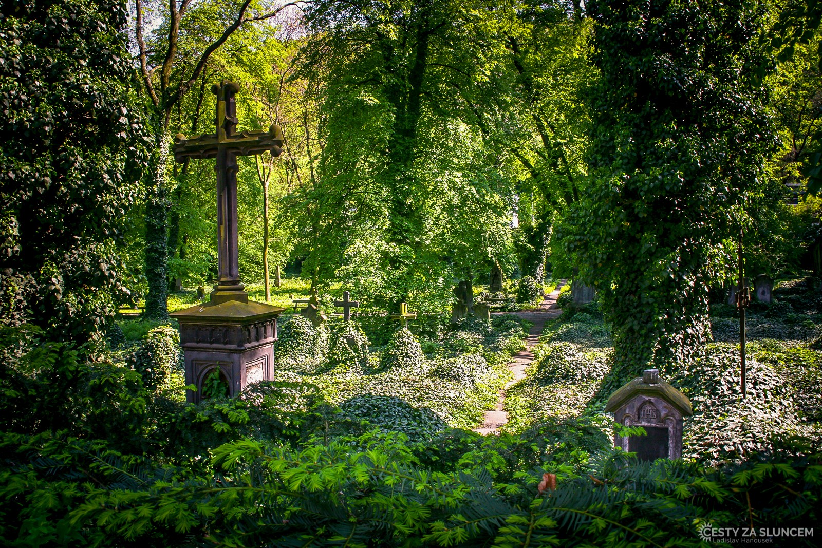 Kolín - starý židovský hřbitov - Ladislav Hanousek, Ostatní z Čech a Moravy
