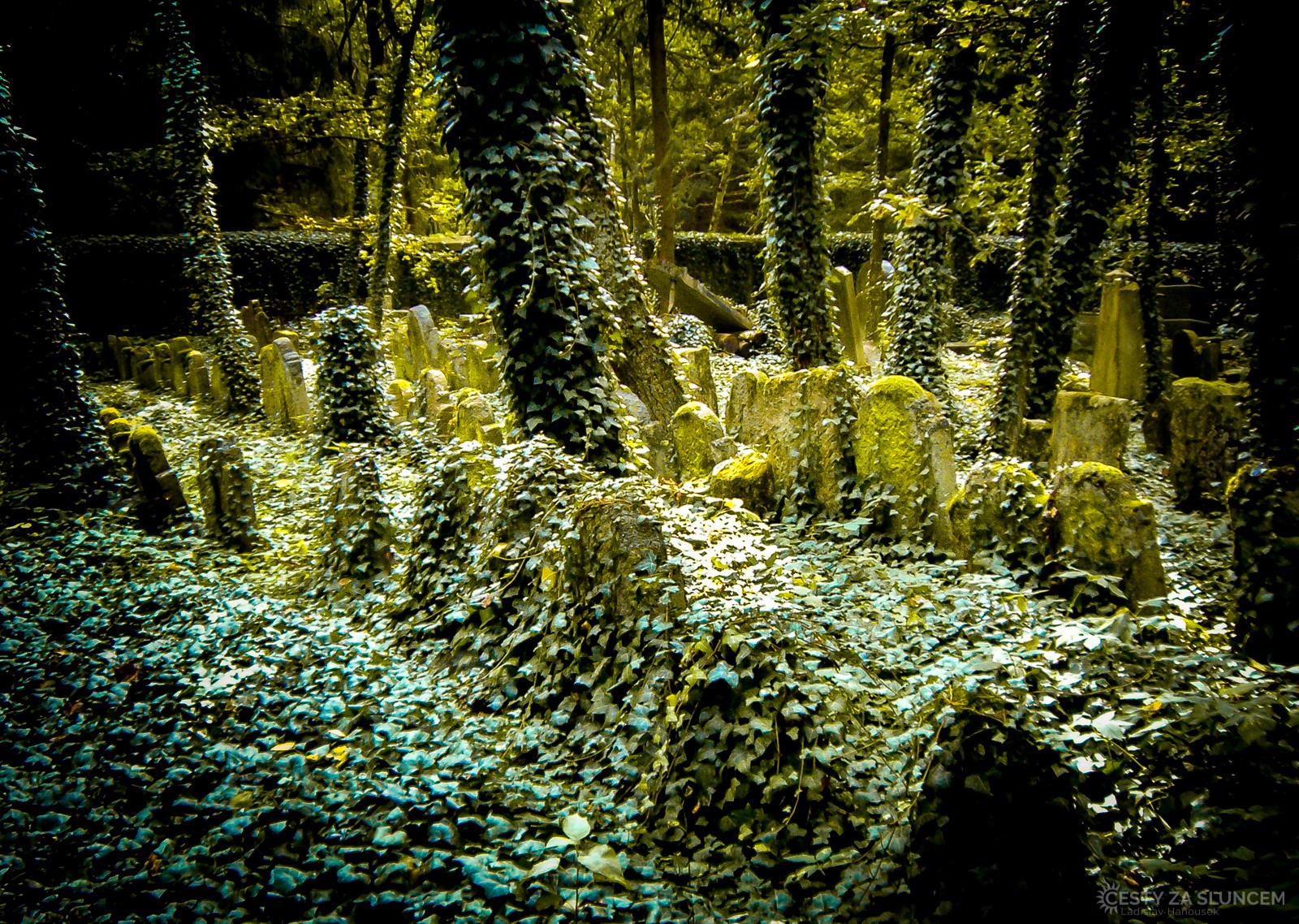 Praha - Starý židovský hřbitov na Smíchově - Ladislav Hanousek, Ostatní z Čech a Moravy