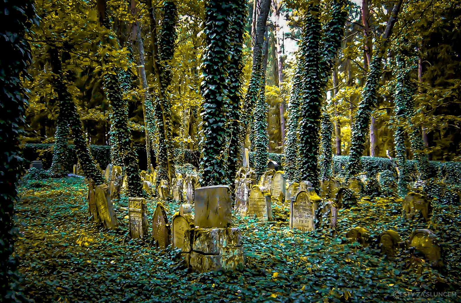 Praha - Starý židovský hřbitov na Smíchově - Ladislav Hanousek, Ostatní z Čech a Moravy