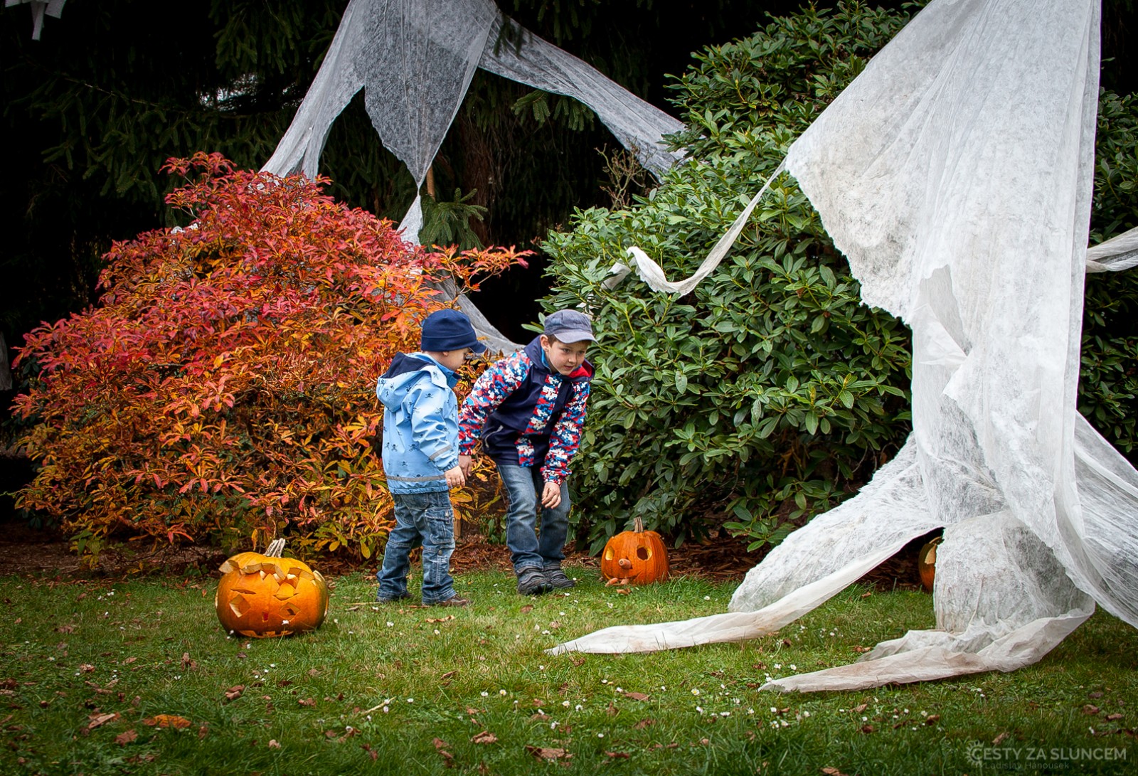 Dvůr Králové nad Labem - Halloweenský týden - Ladislav Hanousek, Čechy a Morava