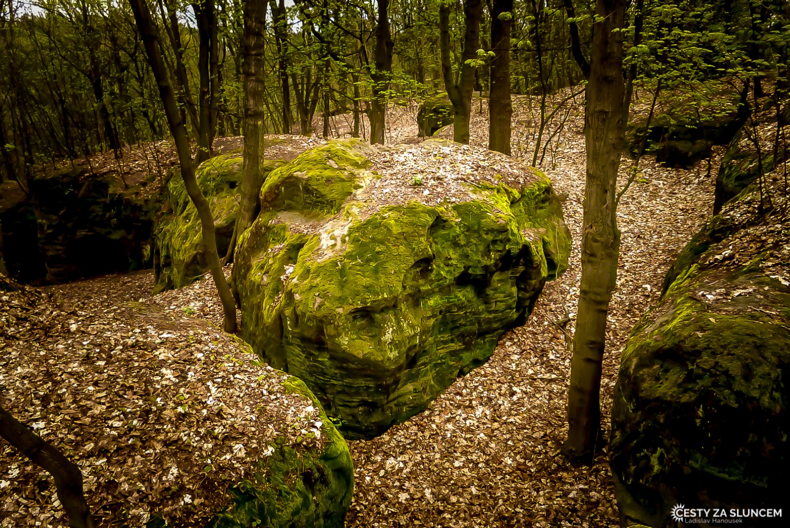 Drábské světničky - Ladislav Hanousek, Ostatní z Čech a Moravy