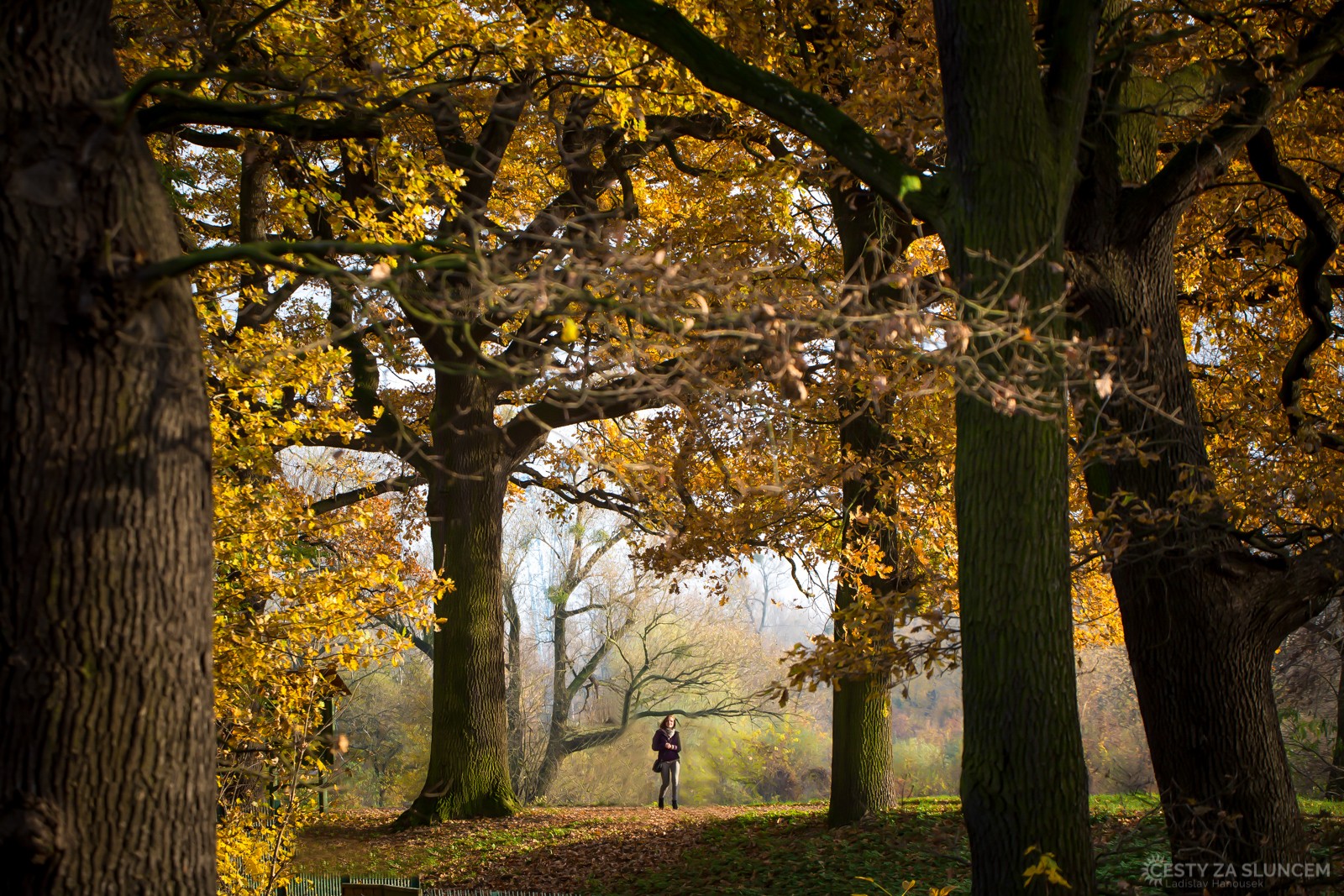 Wroclaw - Ladislav Hanousek, Evropa