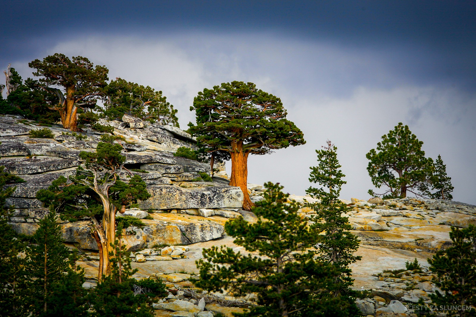 Tioga Pass. - Ladislav Hanousek, Yosemite NP