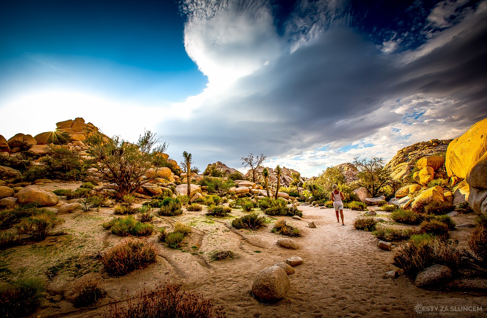 Cesta k napajedlu Barker Dam. - Ladislav Hanousek, Joshua Tree NP