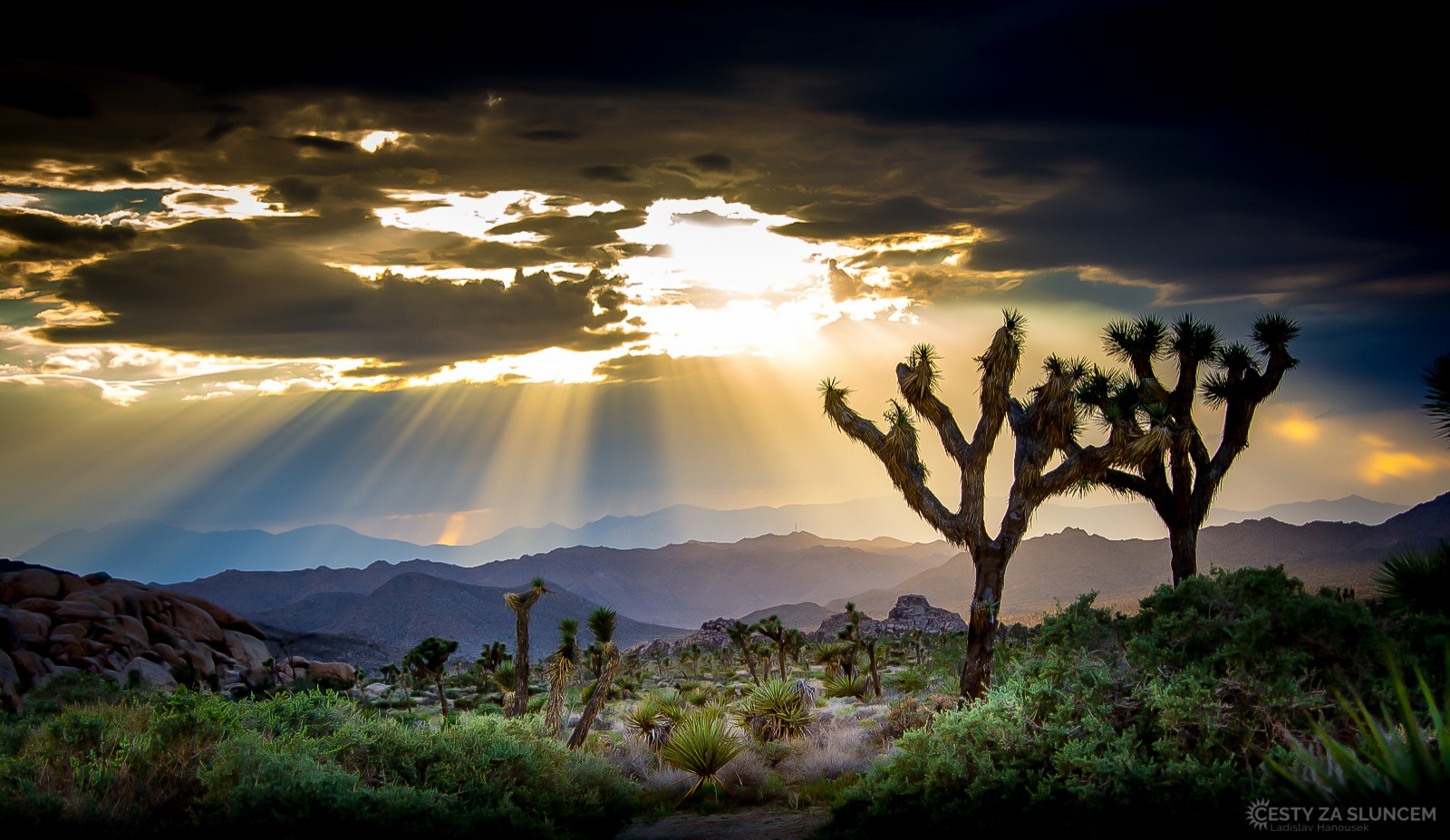V podvečer je biblický ráz krajiny v Joshua Tree NP téměř dokonalý - Ladislav Hanousek, Joshua Tree NP