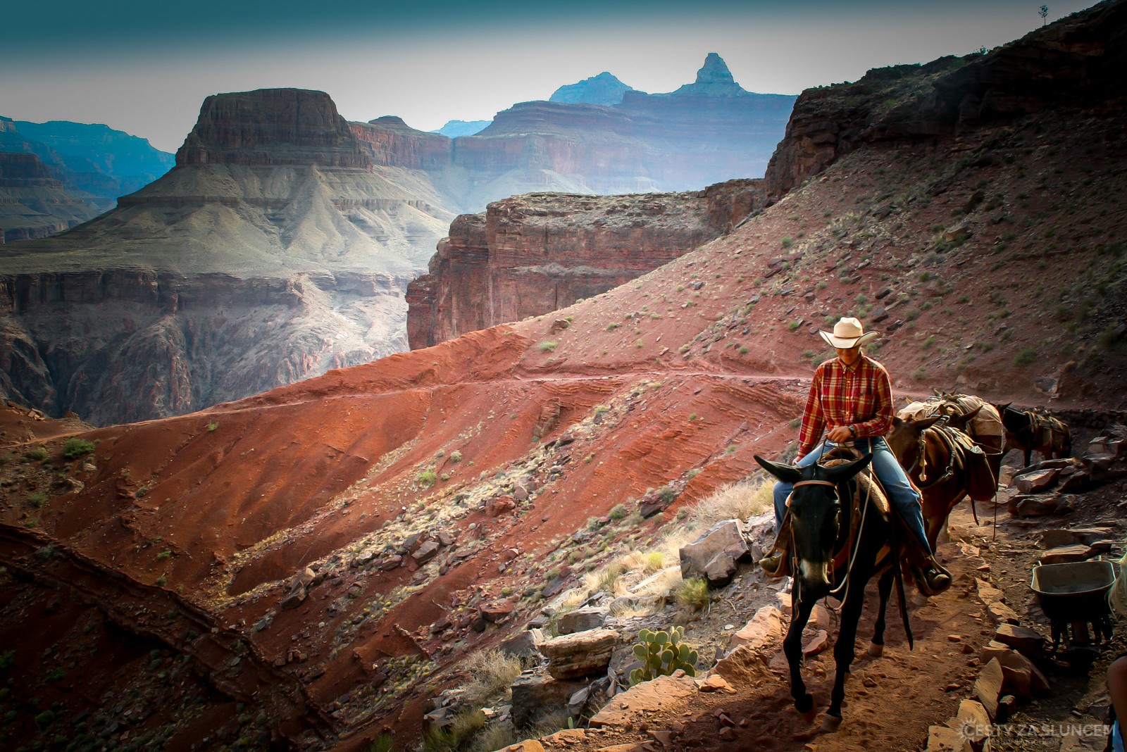 Čas od času potkáváme koňské karavany, koně nosí do kaňonu většinu zásob - Ladislav Hanousek, Grand Canyon NP - Cesta k řece Colorado